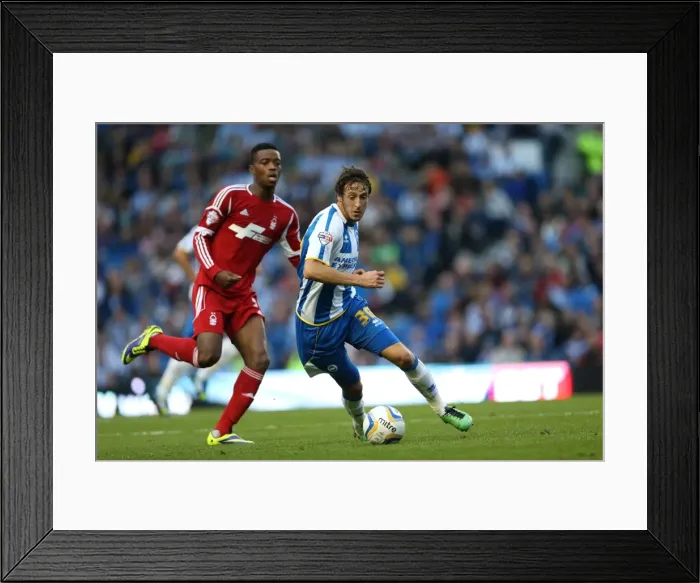 Framed Print : Brighton & Hove Albion vs. Nottingham Forest: Home Battle (2013-14 Season) Framed Print : Brighton & Hove Albion vs. Nottingham Forest: Home Battle (2013-14 Season)