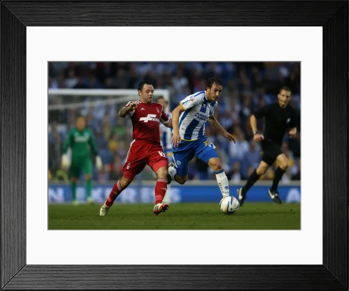 Framed Print : Brighton & Hove Albion vs. Nottingham Forest: Home Game, 2013-14 Season (5th October 2013) Framed Print : Brighton & Hove Albion vs. Nottingham Forest: Home Game, 2013-14 Season (5th October 2013)