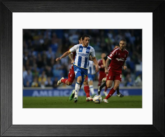 Framed Print : Brighton & Hove Albion vs. Nottingham Forest: 2013-14 Home Game