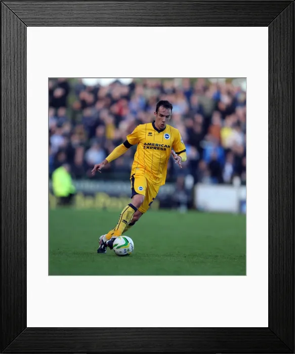 Framed Print : Brighton & Hove Albion Away at Yeovil Town (2013-14 Season) Framed Print : Brighton & Hove Albion Away at Yeovil Town (2013-14 Season)