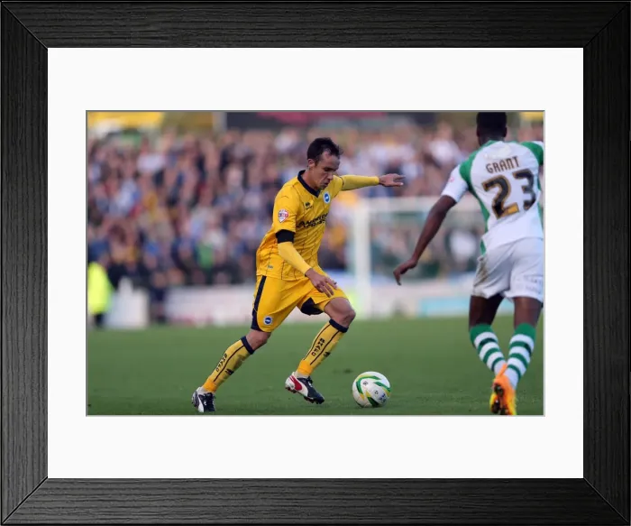 Framed Print : Brighton & Hove Albion Away at Yeovil Town (2013-14 Season): October 19, 2013