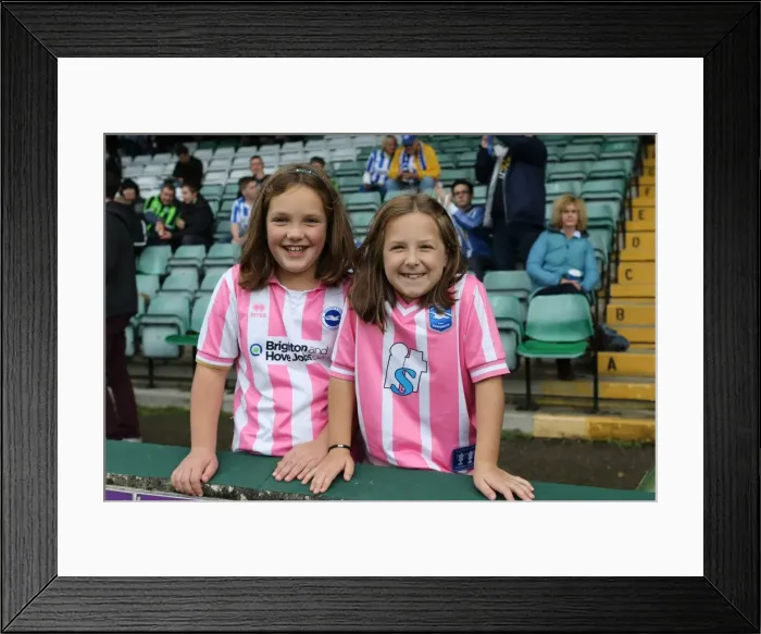 Framed Print : Brighton & Hove Albion Away at Yeovil Town (2013-14 Season): October 19, 2013