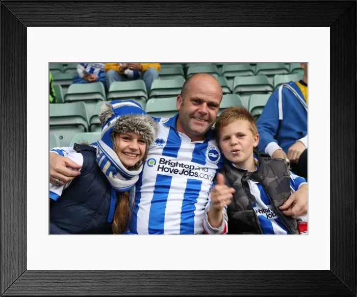 Framed Print : Brighton & Hove Albion at Yeovil Town (2013-14 Away Game) Framed Print : Brighton & Hove Albion at Yeovil Town (2013-14 Away Game)