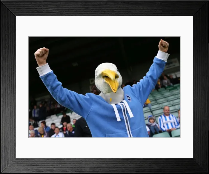 Framed Print : Brighton & Hove Albion Away at Yeovil Town (2013-14 Season) Framed Print : Brighton & Hove Albion Away at Yeovil Town (2013-14 Season)