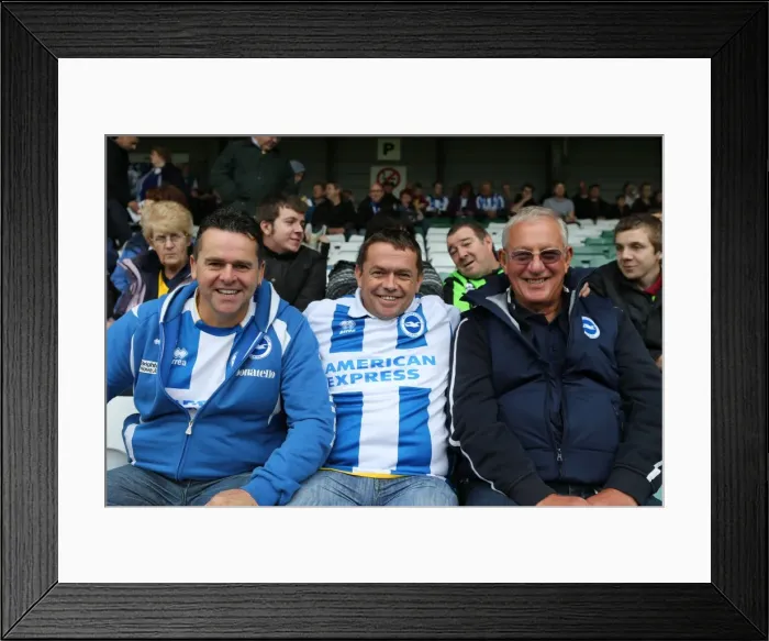 Framed Print : Brighton and Hove Albion Away Days 2013-14: Yeovil Town - Fan Crowd Moments Framed Print : Brighton and Hove Albion Away Days 2013-14: Yeovil Town - Fan Crowd Moments