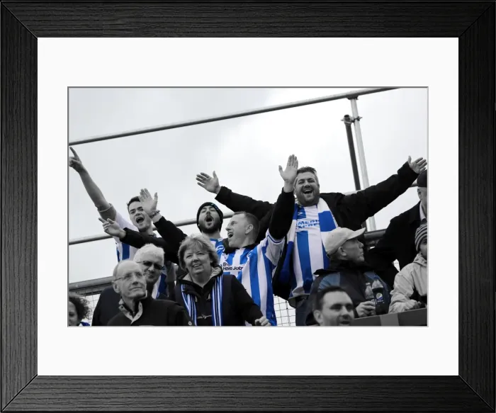 Framed Print : Electric Atmosphere: Brighton and Hove Albion Away Days 2013-14 - Yeovil Town Crowd Shots Framed Print : Electric Atmosphere: Brighton and Hove Albion Away Days 2013-14 - Yeovil Town Crowd Shots