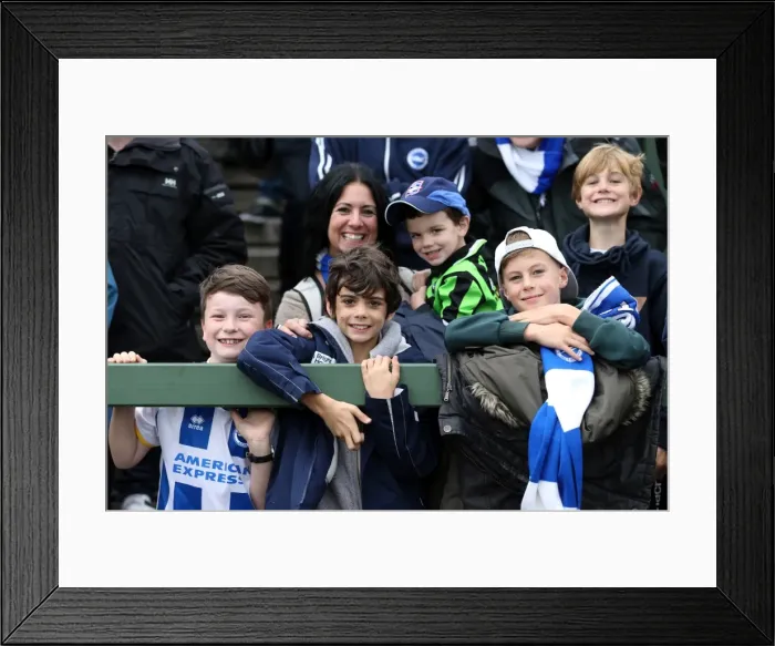 Framed Print : Brighton & Hove Albion Away at Yeovil Town (2013-14 Season): October 19, 2013