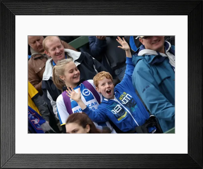 Framed Print : Brighton & Hove Albion Away at Yeovil Town (2013-14 Season): October 19, 2013