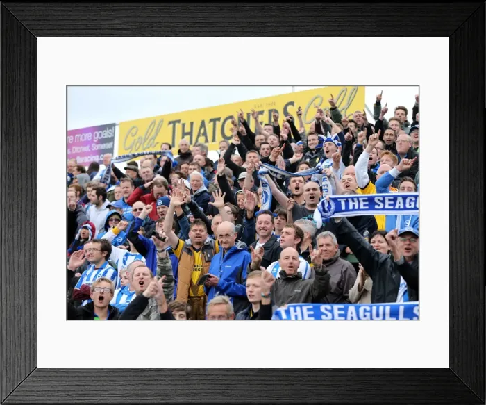 Framed Print : Brighton & Hove Albion Away at Yeovil Town (2013-14 Season): October 19, 2013