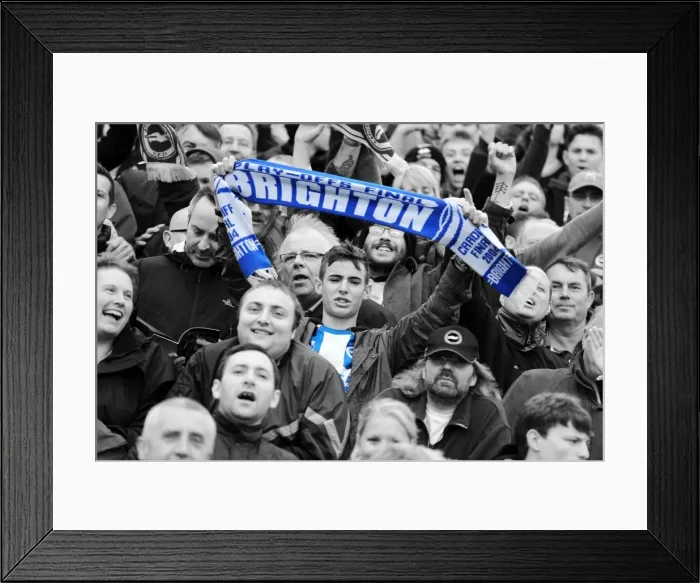 Framed Print : Brighton and Hove Albion Away Days 2013-14: Sea of Supporters at Yeovil Town Framed Print : Brighton and Hove Albion Away Days 2013-14: Sea of Supporters at Yeovil Town