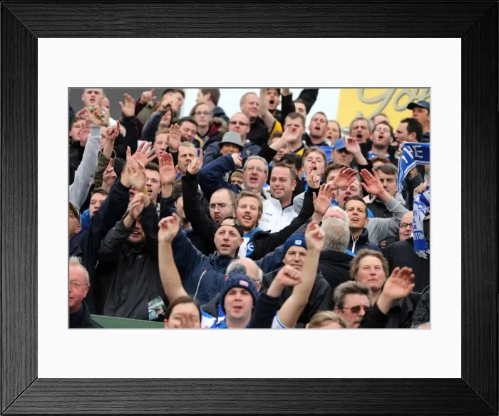 Framed Print : Brighton & Hove Albion Away at Yeovil Town (2013-14 Season): October 19, 2013