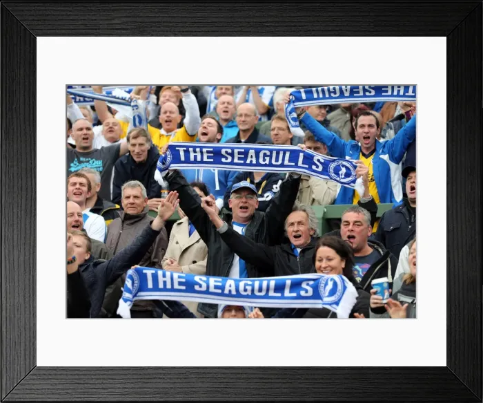 Framed Print : Brighton and Hove Albion Away Days 2013-14: Yeovil Town - Fan Crowd Shots Framed Print : Brighton and Hove Albion Away Days 2013-14: Yeovil Town - Fan Crowd Shots