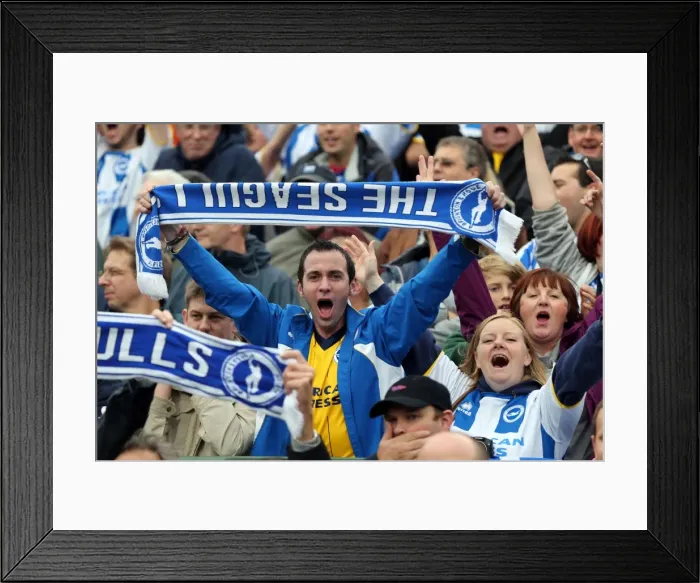 Framed Print : Brighton and Hove Albion Away Days 2013-14: Unified Fan Crowd at Yeovil Town Framed Print : Brighton and Hove Albion Away Days 2013-14: Unified Fan Crowd at Yeovil Town