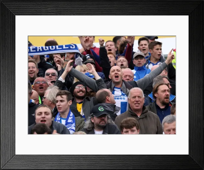Framed Print : Brighton & Hove Albion Away at Yeovil Town (2013-14 Season): October 19, 2013