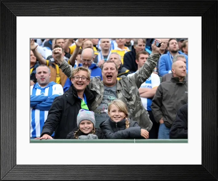 Framed Print : Brighton & Hove Albion Away at Yeovil Town (2013-14 Season): October 19, 2013 Framed Print : Brighton & Hove Albion Away at Yeovil Town (2013-14 Season): October 19, 2013