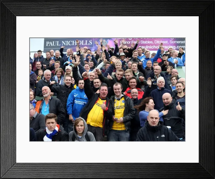 Framed Print : Brighton & Hove Albion Away at Yeovil Town (2013-14 Season): October 19, 2013