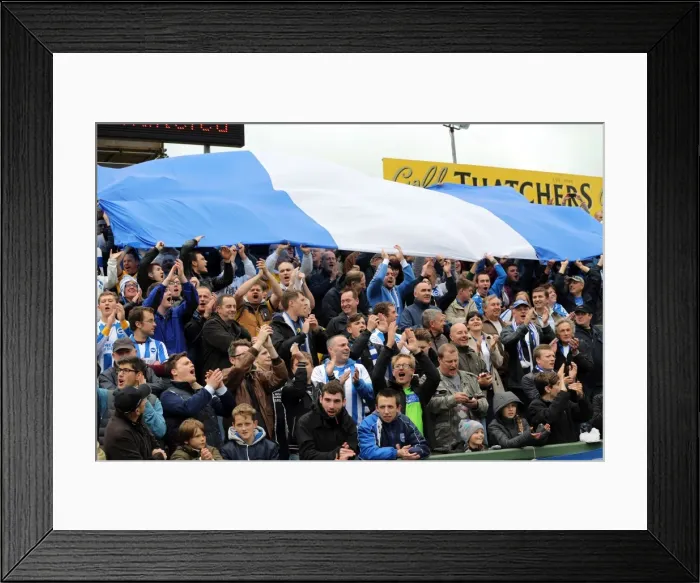 Framed Print : Brighton & Hove Albion 2013-14: Away Game at Yeovil Town (19-10-2013) Framed Print : Brighton & Hove Albion 2013-14: Away Game at Yeovil Town (19-10-2013)