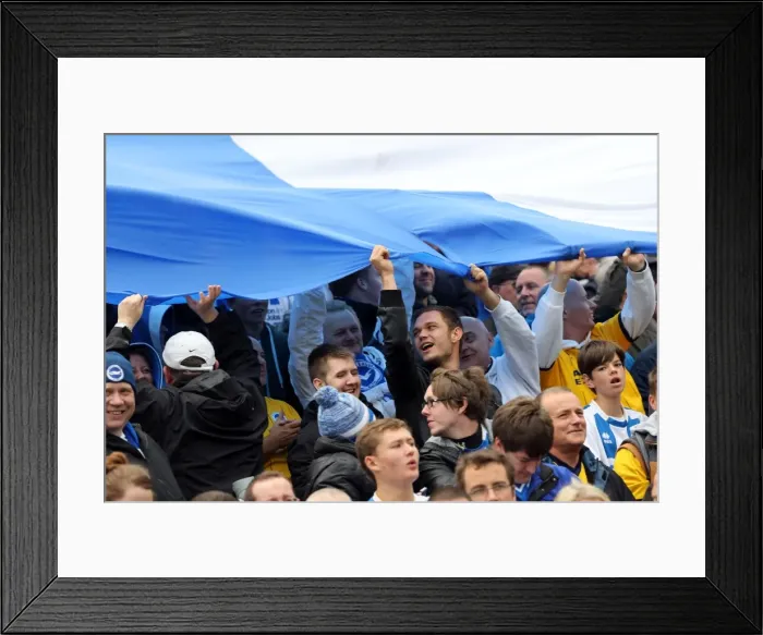 Framed Print : Brighton & Hove Albion Away at Yeovil Town (2013-14 Season): October 19, 2013
