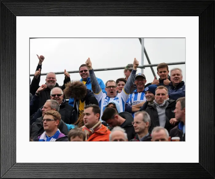 Framed Print : Brighton & Hove Albion Away at Yeovil Town (2013-14 Season)