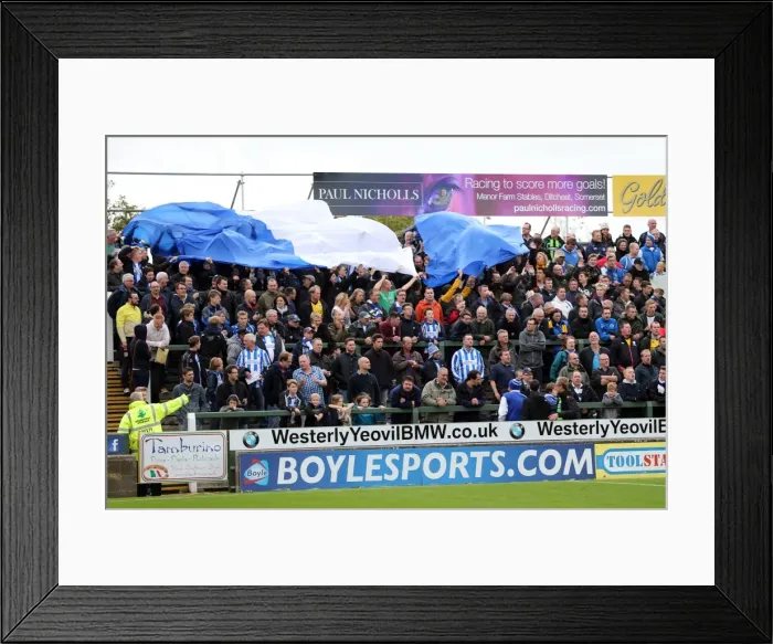 Framed Print : Brighton & Hove Albion at Yeovil Town (2013-14 Season): Away Game Highlights
