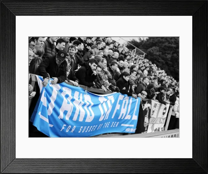 Framed Print : Brighton & Hove Albion Away at Yeovil Town (19-10-2013) Framed Print : Brighton & Hove Albion Away at Yeovil Town (19-10-2013)
