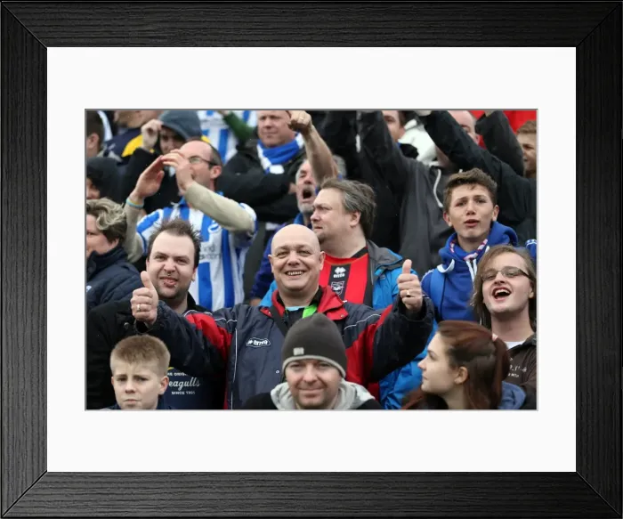 Framed Print : Brighton & Hove Albion at Yeovil Town (2013-14 Away Game) Framed Print : Brighton & Hove Albion at Yeovil Town (2013-14 Away Game)