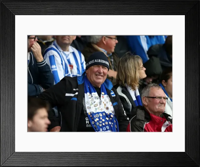 Framed Print : Brighton and Hove Albion Away Days 2013-14: Sea of Supporters at Yeovil Town Framed Print : Brighton and Hove Albion Away Days 2013-14: Sea of Supporters at Yeovil Town