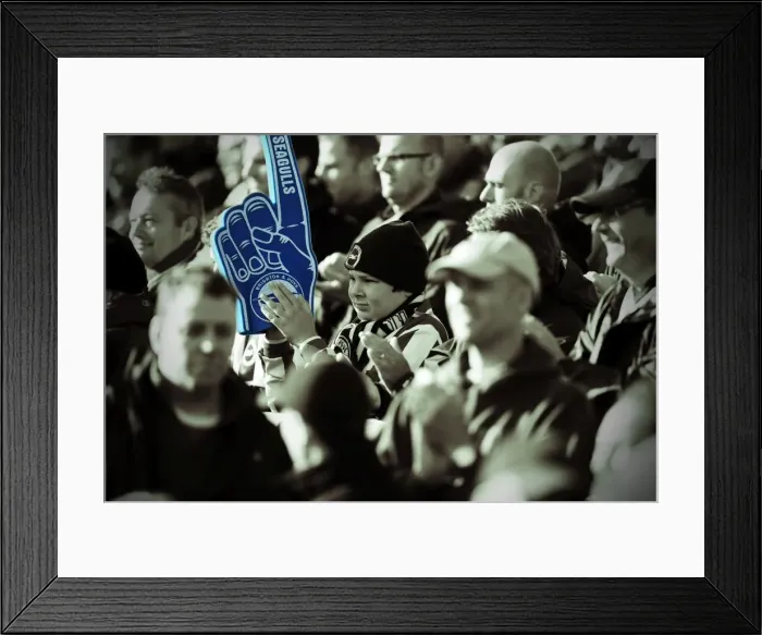 Framed Print : Brighton & Hove Albion Away at Yeovil Town (2013-14 Season): October 19, 2013 Framed Print : Brighton & Hove Albion Away at Yeovil Town (2013-14 Season): October 19, 2013