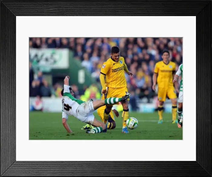 Framed Print : Brighton & Hove Albion at Yeovil Town (2013-14 Away Game) Framed Print : Brighton & Hove Albion at Yeovil Town (2013-14 Away Game)