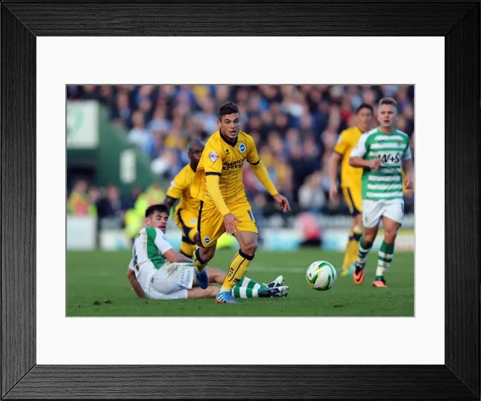 Framed Print : Brighton & Hove Albion Away at Yeovil Town (2013-14 Season): October 19, 2013 Framed Print : Brighton & Hove Albion Away at Yeovil Town (2013-14 Season): October 19, 2013