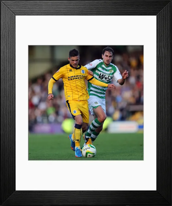 Framed Print : Brighton & Hove Albion at Yeovil Town (2013-14 Season): Away Game Highlights Framed Print : Brighton & Hove Albion at Yeovil Town (2013-14 Season): Away Game Highlights