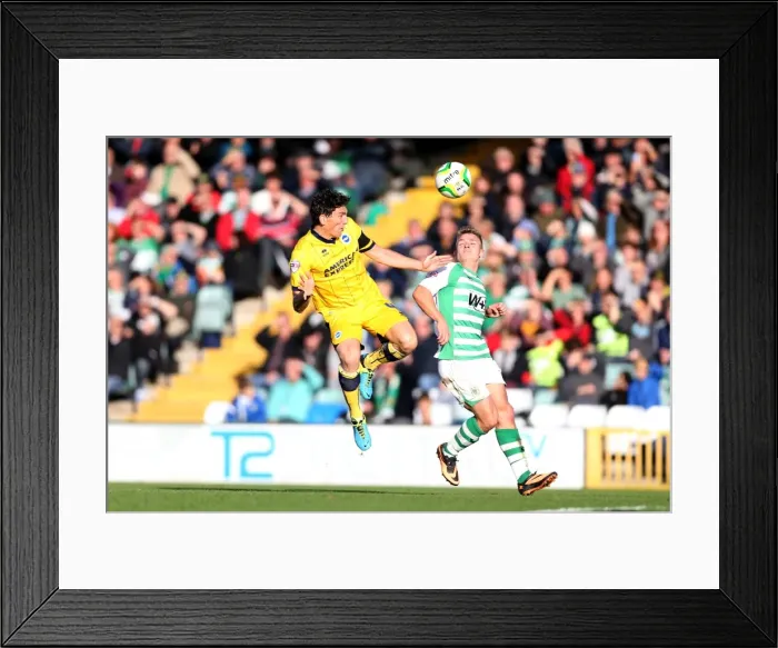 Framed Print : Brighton & Hove Albion Away at Yeovil Town (2013-14 Season) Framed Print : Brighton & Hove Albion Away at Yeovil Town (2013-14 Season)