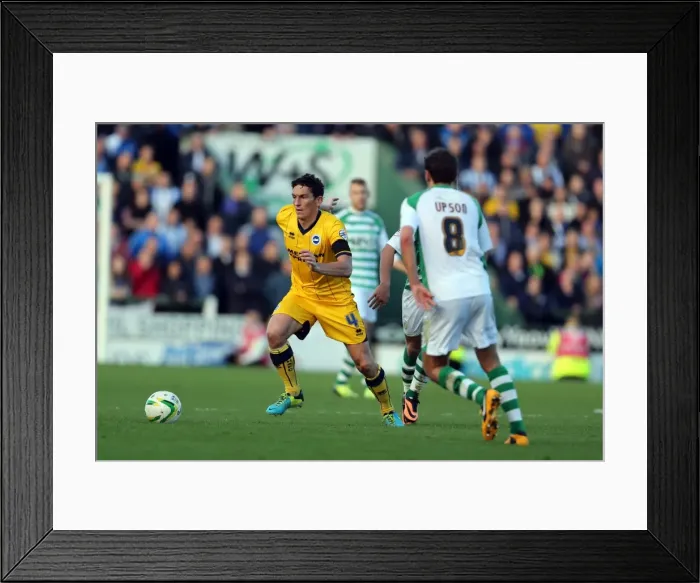 Framed Print : Brighton & Hove Albion Away at Yeovil Town (2013-14 Season): October 19, 2013 Framed Print : Brighton & Hove Albion Away at Yeovil Town (2013-14 Season): October 19, 2013