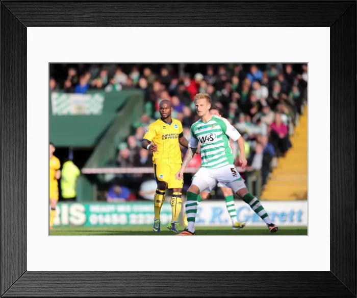 Framed Print : Brighton & Hove Albion Away at Yeovil Town (2013-14 Season): October 19, 2013 Framed Print : Brighton & Hove Albion Away at Yeovil Town (2013-14 Season): October 19, 2013
