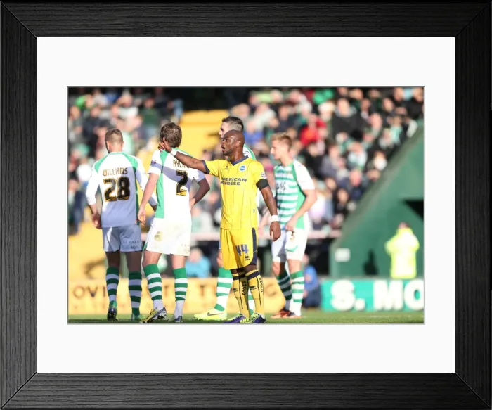 Framed Print : Brighton & Hove Albion at Yeovil Town (2013-14 Away Game): October 19, 2013 Framed Print : Brighton & Hove Albion at Yeovil Town (2013-14 Away Game): October 19, 2013
