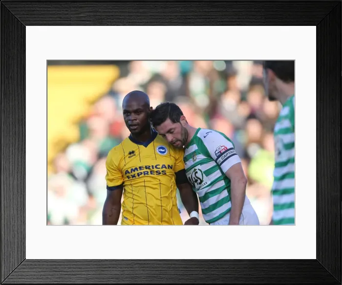 Framed Print : Brighton & Hove Albion Away at Yeovil Town (19-10-2013) Framed Print : Brighton & Hove Albion Away at Yeovil Town (19-10-2013)