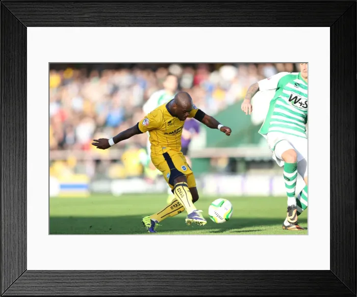 Framed Print : Brighton & Hove Albion Away at Yeovil Town (2013-14 Season): October 19, 2013 Framed Print : Brighton & Hove Albion Away at Yeovil Town (2013-14 Season): October 19, 2013