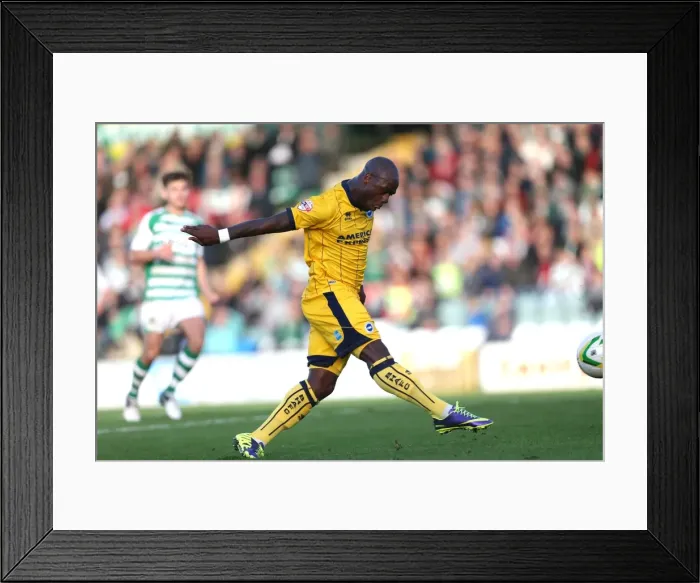 Framed Print : Brighton & Hove Albion Away at Yeovil Town (2013-14 Season): October 19, 2013 Framed Print : Brighton & Hove Albion Away at Yeovil Town (2013-14 Season): October 19, 2013