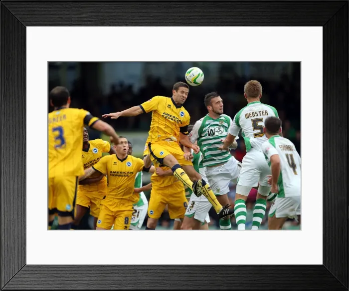 Framed Print : Brighton & Hove Albion Away at Yeovil Town (2013-14 Season): October 19, 2013 Framed Print : Brighton & Hove Albion Away at Yeovil Town (2013-14 Season): October 19, 2013