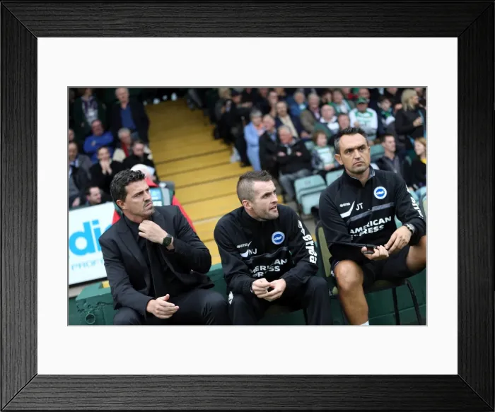 Framed Print : Brighton & Hove Albion Away at Yeovil Town (2013-14 Season) Framed Print : Brighton & Hove Albion Away at Yeovil Town (2013-14 Season)