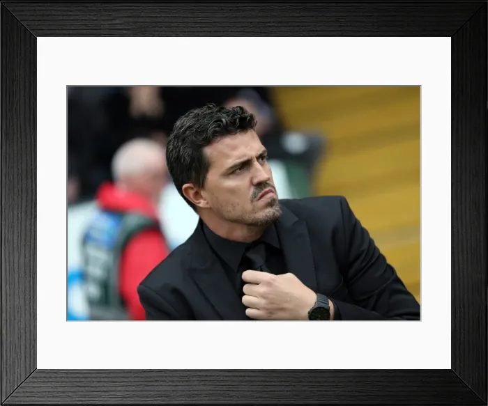 Framed Print : Brighton & Hove Albion at Yeovil Town (2013-14 Season): Game Highlights Framed Print : Brighton & Hove Albion at Yeovil Town (2013-14 Season): Game Highlights