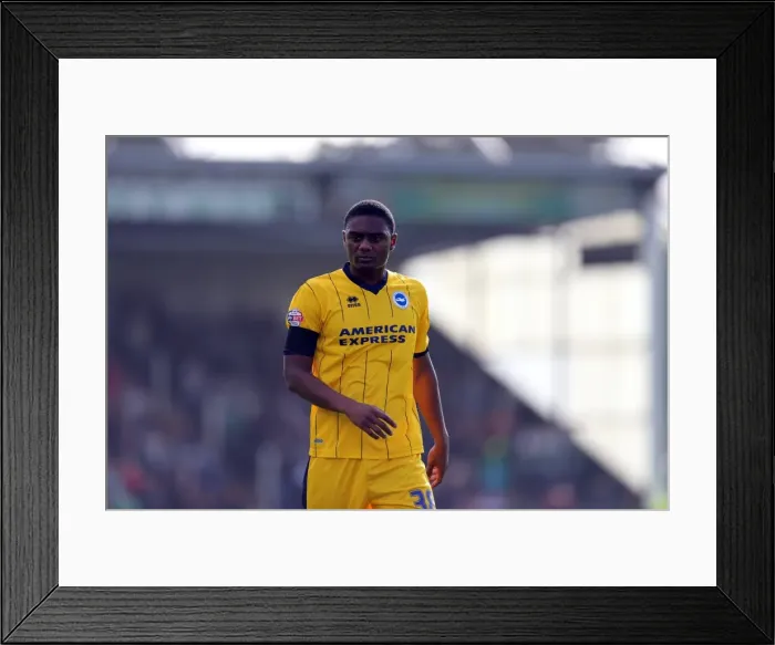 Framed Print : Brighton & Hove Albion Away at Yeovil Town (2013-14 Season) Framed Print : Brighton & Hove Albion Away at Yeovil Town (2013-14 Season)