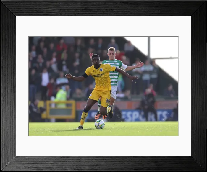 Framed Print : Brighton & Hove Albion Away at Yeovil Town (2013-14 Season) Framed Print : Brighton & Hove Albion Away at Yeovil Town (2013-14 Season)