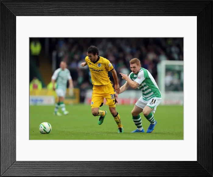 Framed Print : Brighton & Hove Albion Away at Yeovil Town (2013-14 Season): October 19, 2013 Framed Print : Brighton & Hove Albion Away at Yeovil Town (2013-14 Season): October 19, 2013