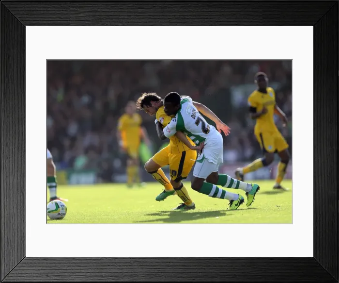 Framed Print : Brighton & Hove Albion Away at Yeovil Town (2013-14 Season): October 19, 2013 Framed Print : Brighton & Hove Albion Away at Yeovil Town (2013-14 Season): October 19, 2013