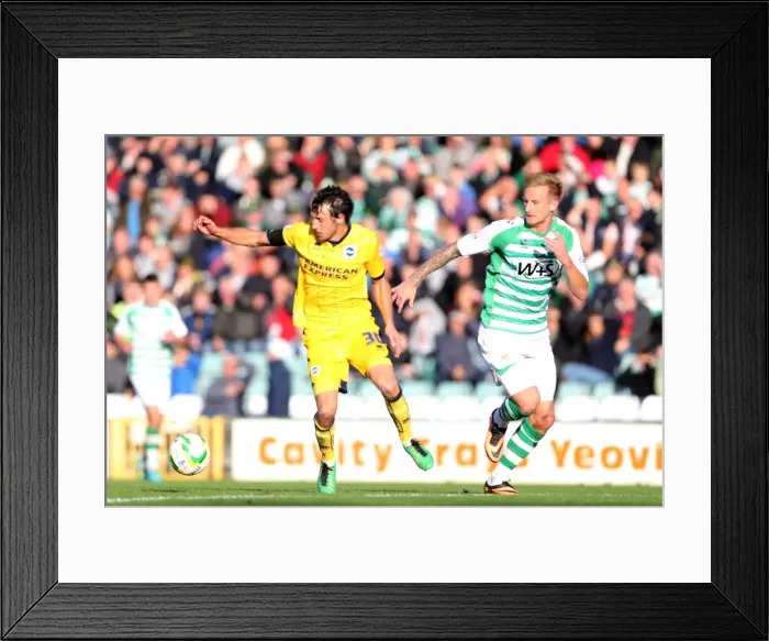 Framed Print : Brighton & Hove Albion Away at Yeovil Town (2013-14 Season) - October 19, 2013 Framed Print : Brighton & Hove Albion Away at Yeovil Town (2013-14 Season) - October 19, 2013
