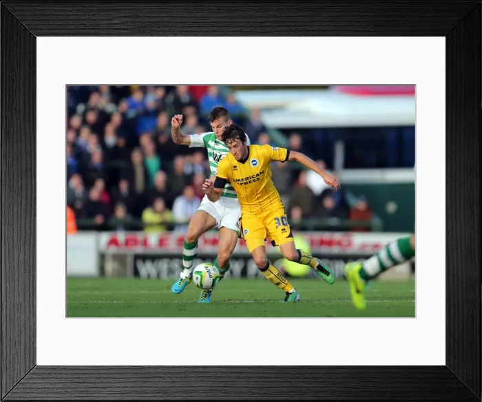 Framed Print : Brighton & Hove Albion Away at Yeovil Town (2013-14 Season) - October 19, 2013 Framed Print : Brighton & Hove Albion Away at Yeovil Town (2013-14 Season) - October 19, 2013