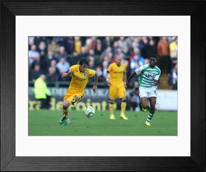 Framed Print : Brighton & Hove Albion Away at Yeovil Town (2013-14 Season): October 19, 2013 Framed Print : Brighton & Hove Albion Away at Yeovil Town (2013-14 Season): October 19, 2013