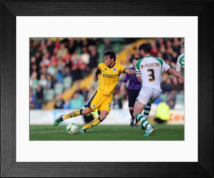 Framed Print : Brighton & Hove Albion at Yeovil Town (2013-14 Away Game) Framed Print : Brighton & Hove Albion at Yeovil Town (2013-14 Away Game)
