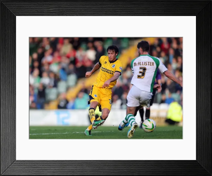 Framed Print : Brighton & Hove Albion Away at Yeovil Town (2013-14 Season) Framed Print : Brighton & Hove Albion Away at Yeovil Town (2013-14 Season)